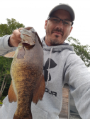 fish2