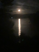 IMG_1355